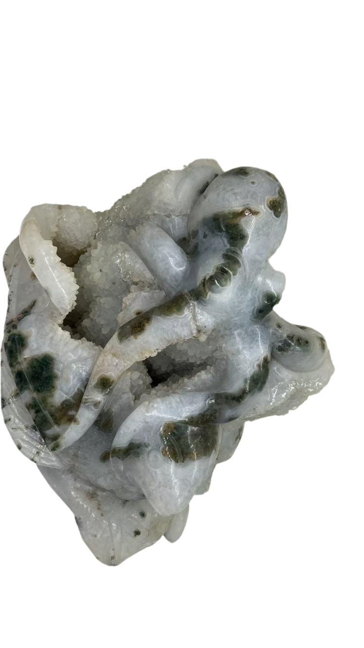 Moss agate octopus