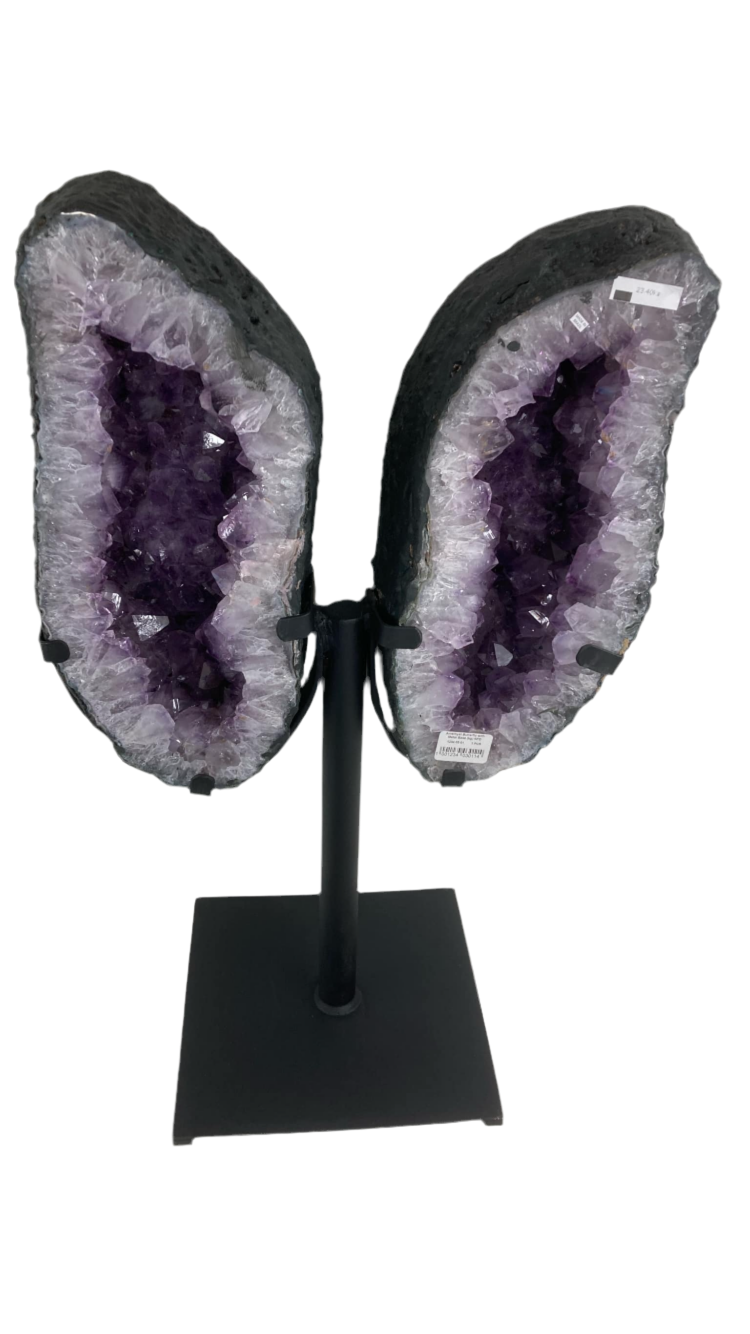 Amethyst Brazilian wings