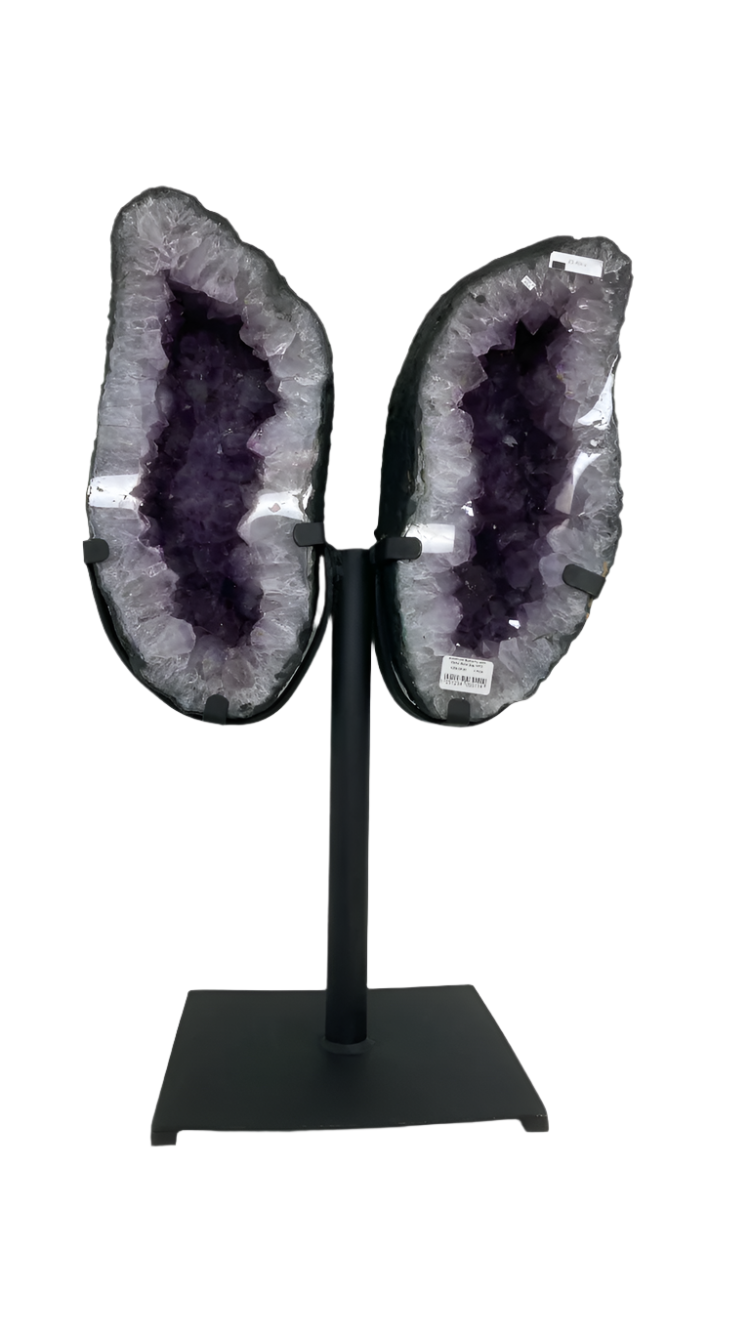 Amethyst Brazilian wings