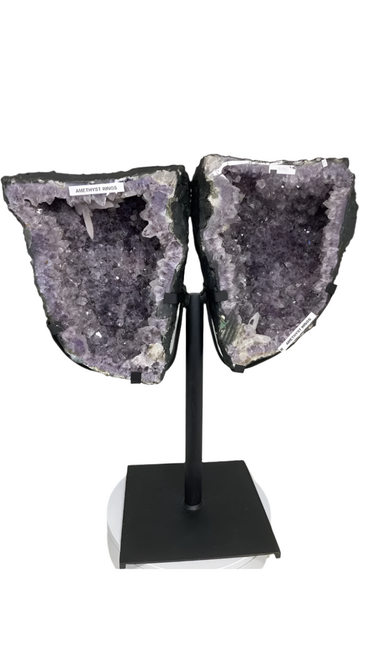 Amethyst Brazilian wings