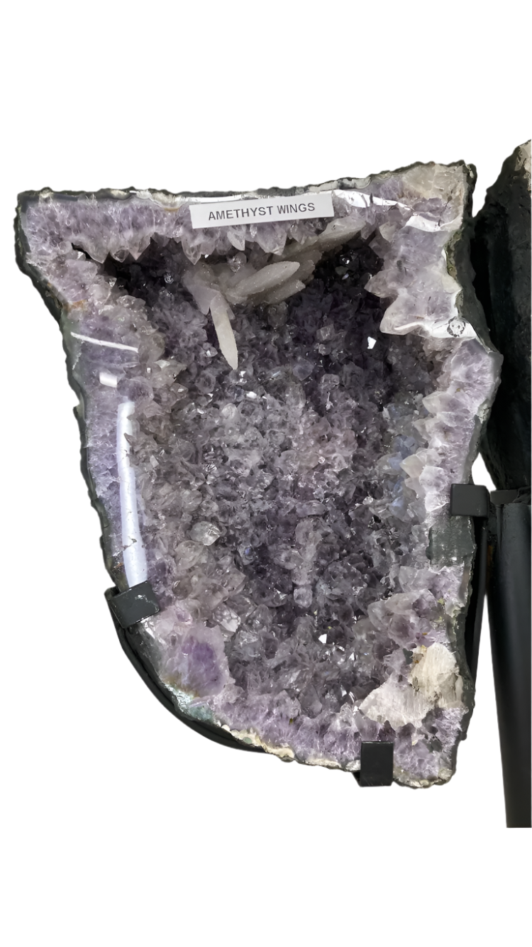 Amethyst Brazilian wings