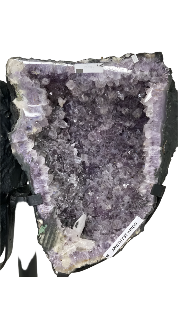 Amethyst Brazilian wings