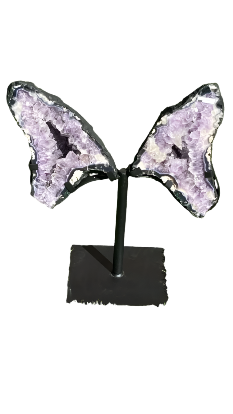 Amethyst Brazilian wings