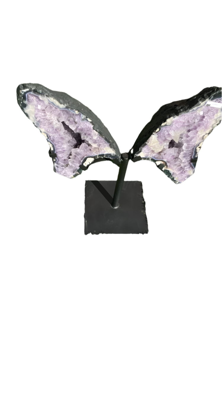 Amethyst Brazilian wings