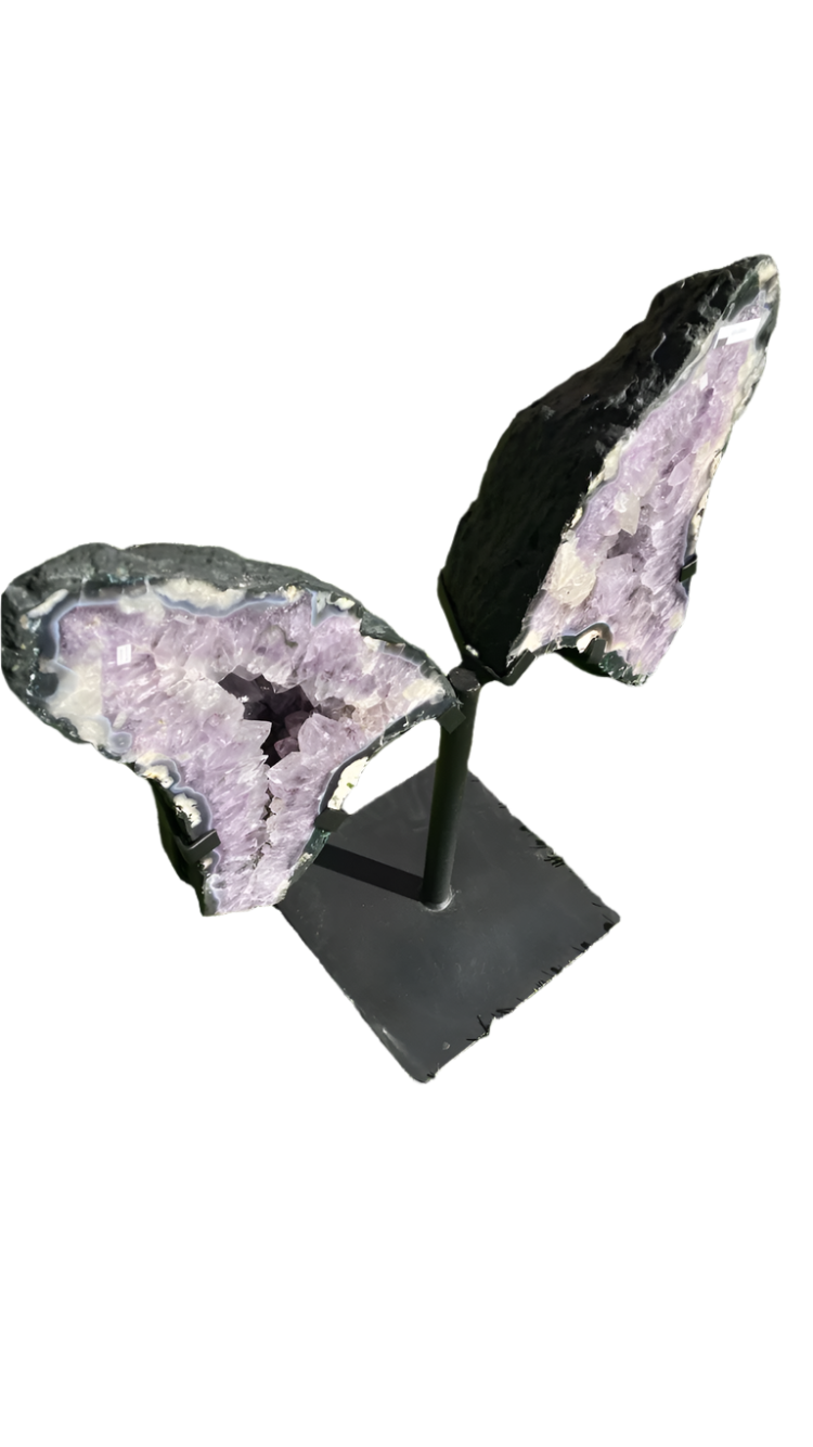 Amethyst Brazilian wings