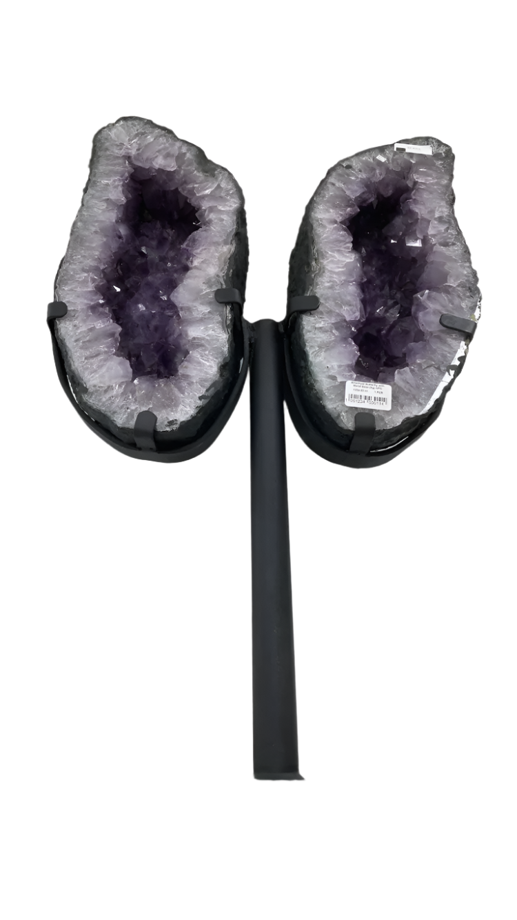 Amethyst Brazilian wings