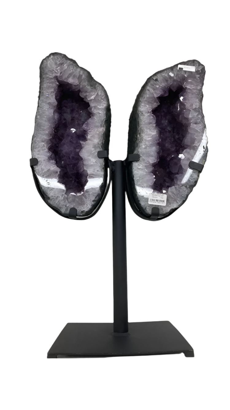 Amethyst Brazilian wings