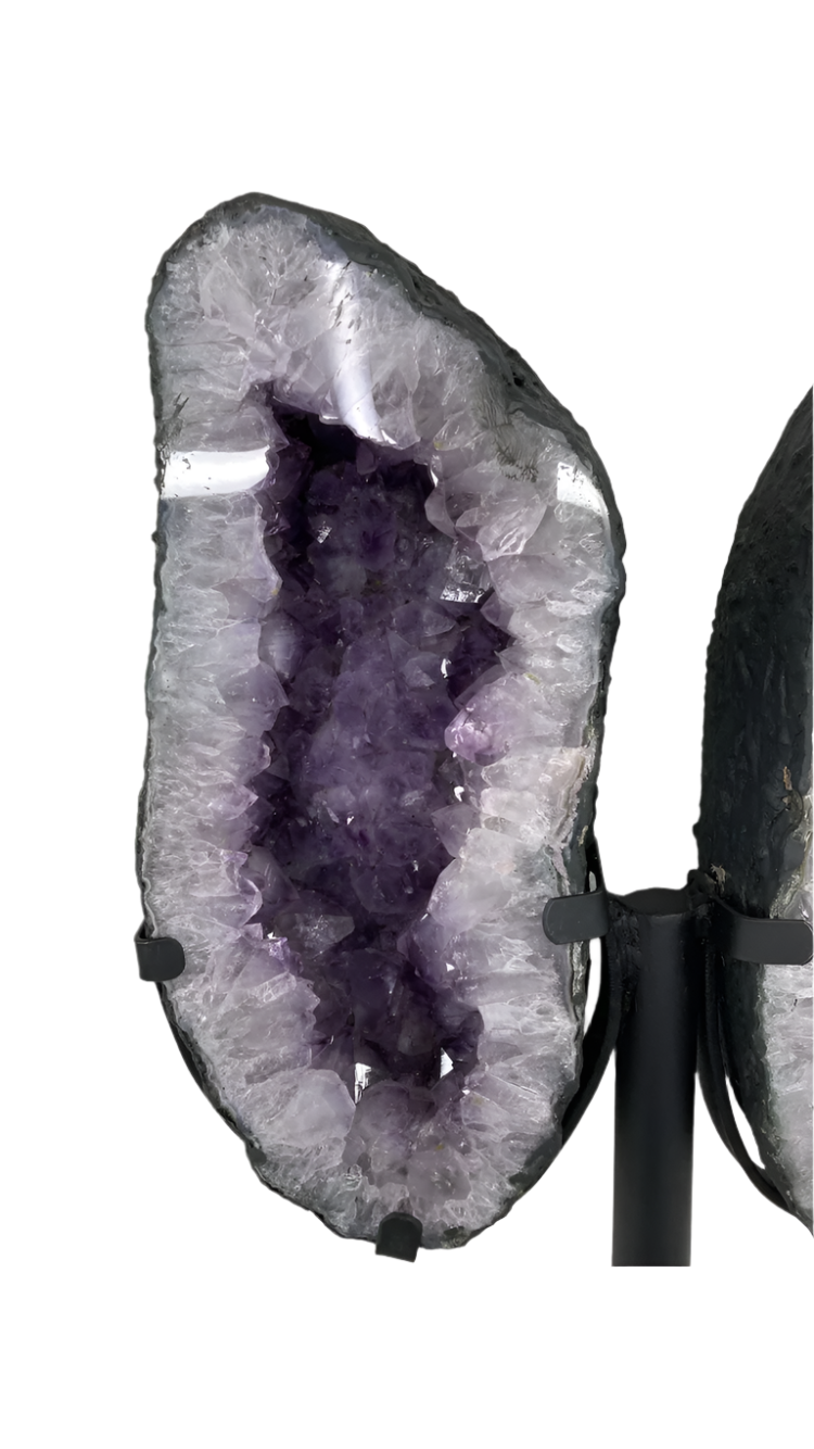 Amethyst Brazilian wings