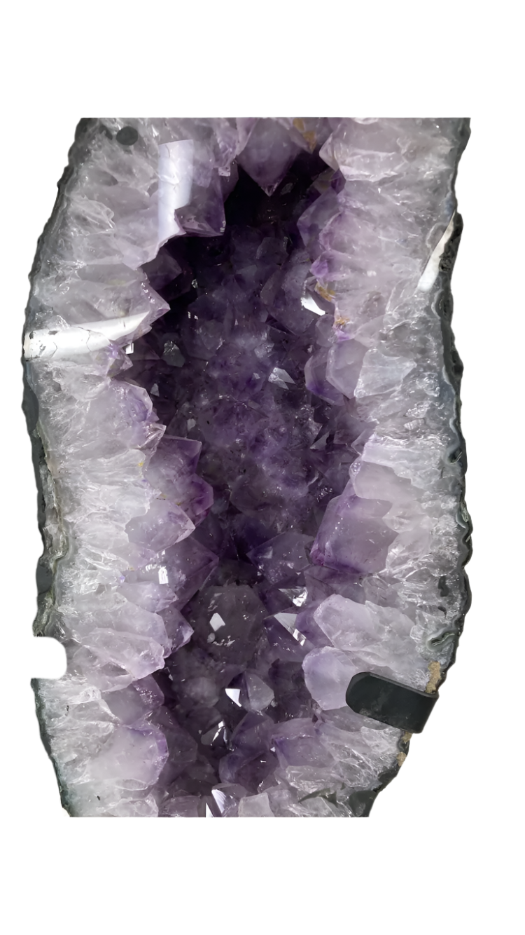 Amethyst Brazilian wings