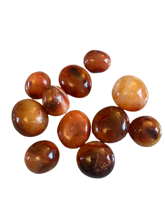 Carnelian small palms